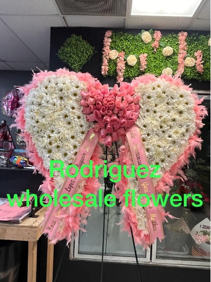 ANGEL WINGS PINK AND WHITE 