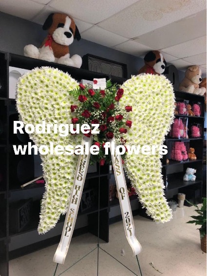 ALAS DE ANGEL 
