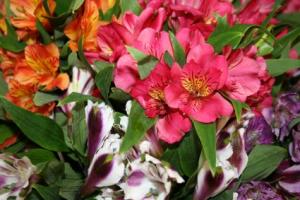 Alice's Pick; Best Blooms of the Day Vase Arrangement