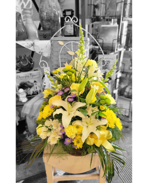 All about the yellow  Anytime 