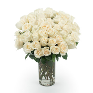 All Is Well ( 3 Dozen) 