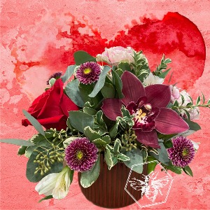 All My Heart Designers Choice