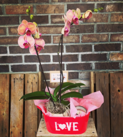 All my LOVE Orchid, candle and chocolate 