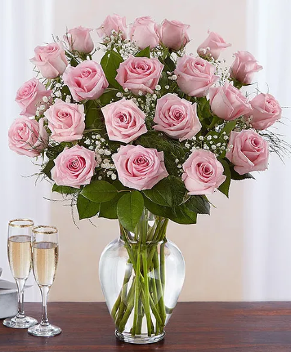 All Pink Roses Long stem pink Roses