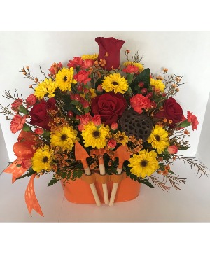 All Season Garden in Various Colors  Orange,Green,Purple,Yellow 