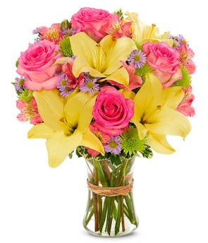 Bright & Radiant - 00013 