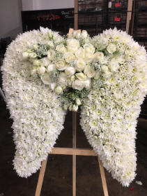 all white angel wings 