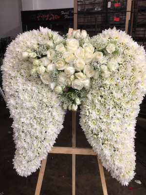 all white angel wings 