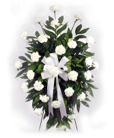 All white carnation spray  