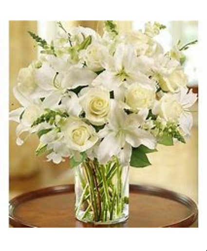 All White Classic  