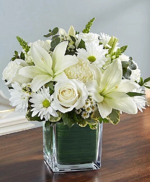 All White Healing Tears  All White Flowers 