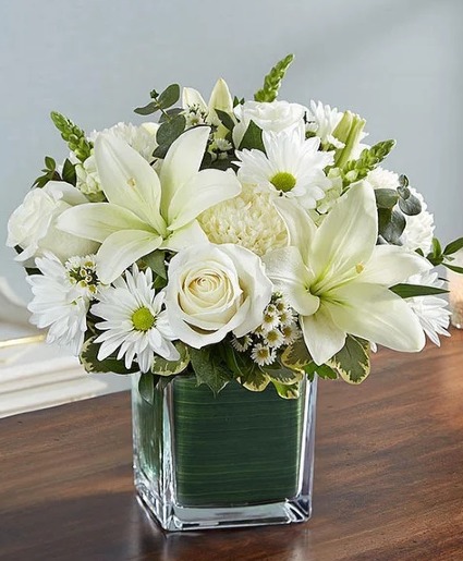 All White Healing Tears  All White Flowers 