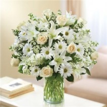 All White Sincerest Sorrow  