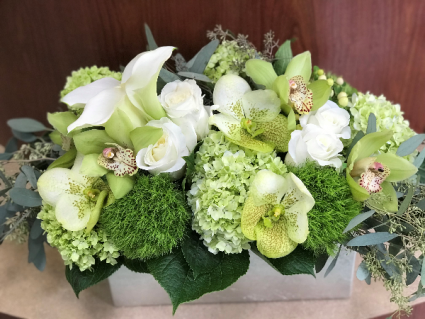 alluring greens premium