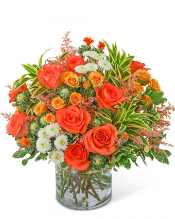 Aloha Paloma Flower Arrangement