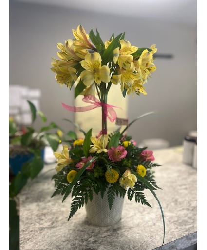 Alstroemeria Topiary 
