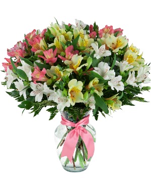 Alstroemerias Arrangement