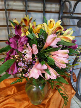 Alstromera arrangement 