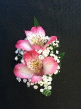 Alstromeria Boutonniere