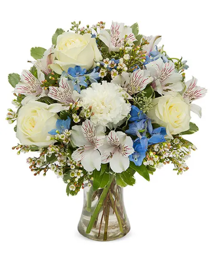 Always - 00204 