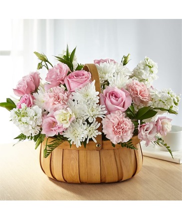 Always Graceful Basket  in Winnipeg, MB | MYRA ROSE FLORIST