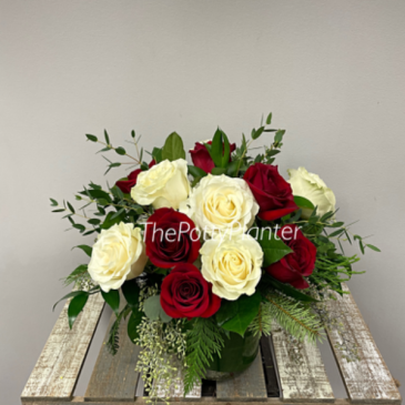 Always On My Mind  in Etobicoke, ON | THE POTTY PLANTER FLORIST
