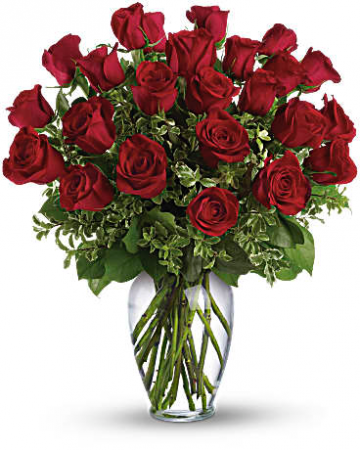   Two Dozen Long stem Red Roses! 