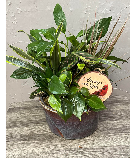 Always With You Dish Garden