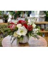 Amaryllis Dreams Vase Arrangement