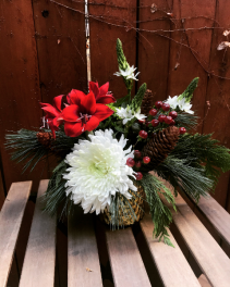 Amaryllis Explosion  Arrangement in mercury glass vase