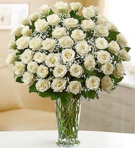 Amazing Alabaster 3 Dozen White or your choice of color