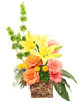 Amber Lilies Floral Design