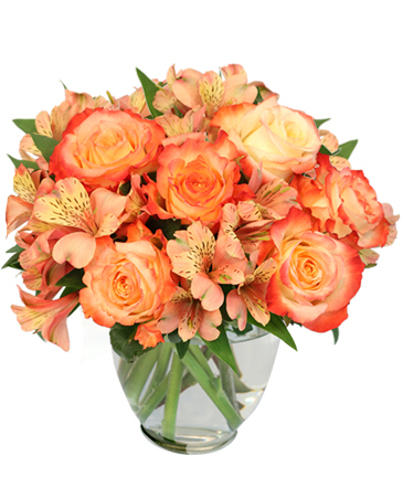 Ambrosia Roses Bouquet in Gainesville, FL | PRANGE'S FLORIST- Sara & Lilli V