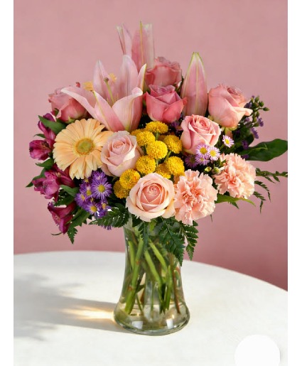 Amor Bloom 