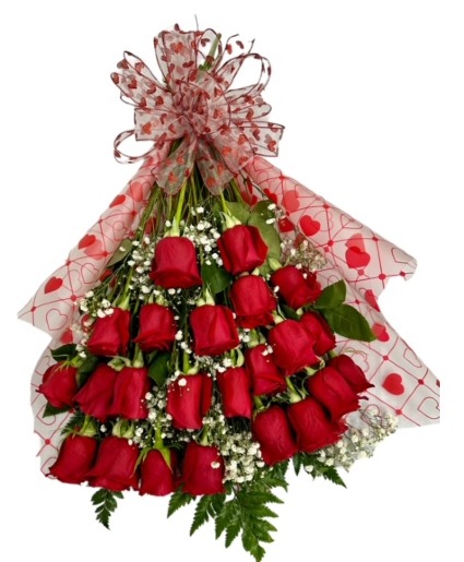 Amor Chikito 24 