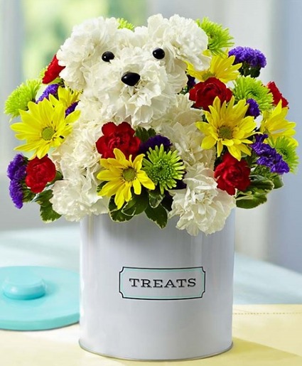 An A-DOG-able Treat 