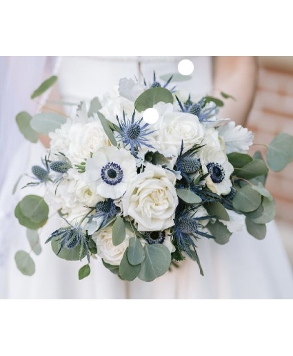 Anemone Dream 