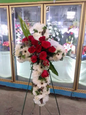 White and red cross White  red cross