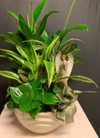 Angel Dish Garden