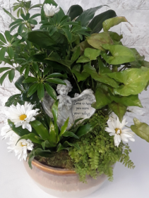 Angel Garden 