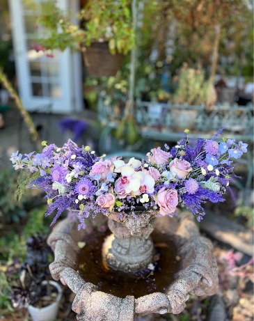 Angel Wings  in Orinda, CA | SaraBella flower shoppe