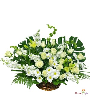 ANGEL WINGS SYMPATHY ARRANGEMENT 