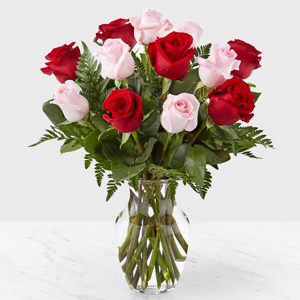 My Sweet Girl Roses 