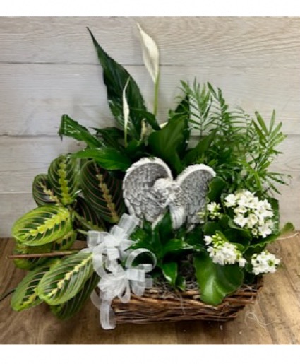 Angelic Blooming Garden Dish Garden