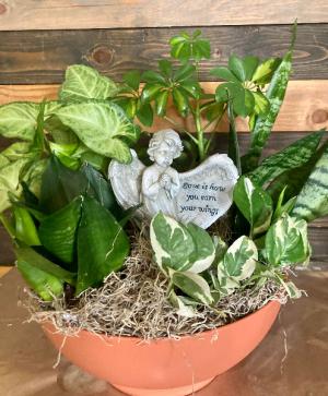 Angellic Garden Live plants dishgarden