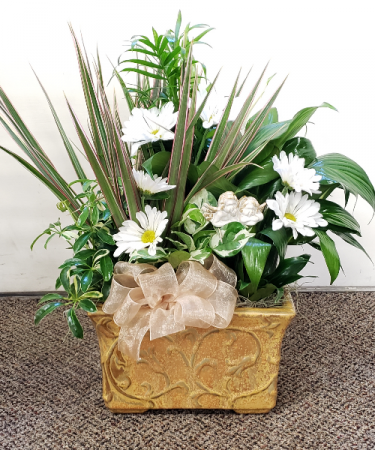 Angels Among Us Dish Garden  Plants