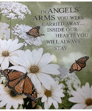 Angels Arms Memory Throw