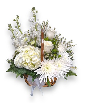 Angel's Breath Basket 