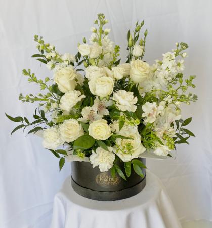 Angel's Wings Sympathy