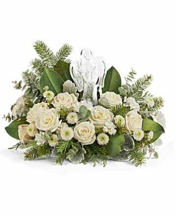 Angle Of Winter   in Oakland, ME | VISIONS FLOWERS & BRIDAL DESIGNS